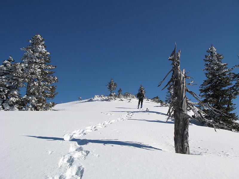 huehnerkogel